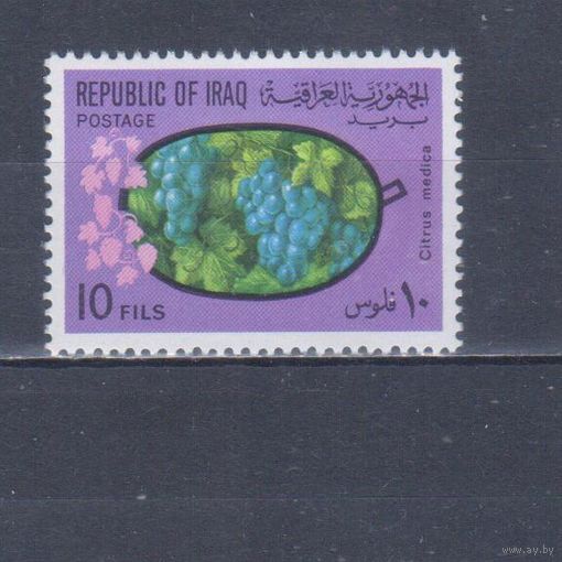 [1547] Ирак 1970. Флора.Плоды.Ягоды.Фрукты.Виноград на почтовых марках. MNH