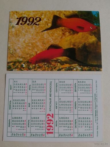 Карманный календарик . Аквариумные рыбки.1992 год