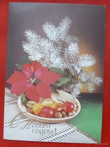 С новым годом! Чистая. 1989 года. Фото Киндровой. 1395.