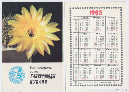Календарь Кактусоводы Кубани 1985