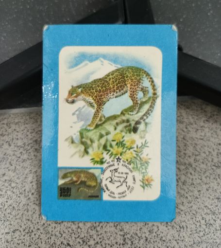 Календарик карманный 1988 фауна леопард (картмаксимум). В дар к лоту с оплатой