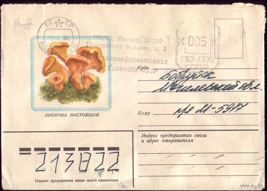 1982 год Лисичка