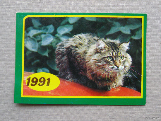 К01 Календарик Котик 1991 Москва Россия