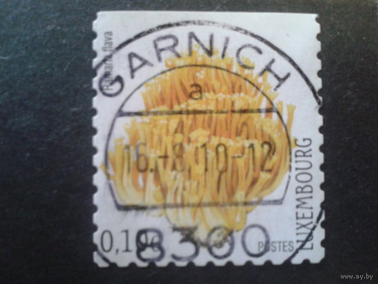 Люксембург 2004 гриб