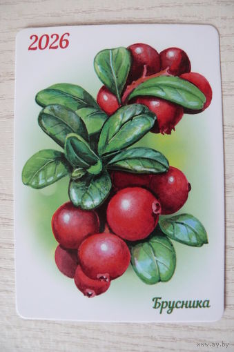 Календарик, 2026, Брусника, изд. "Белпочта".