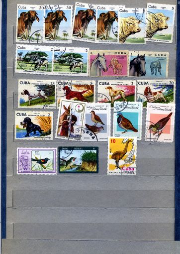 КУБА, ФАУНА, Сборка 22 м по 10 коп шт