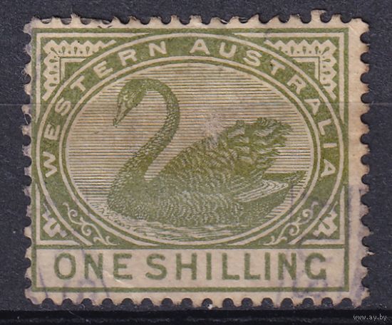 153.Aust. Великобритания. Австралийские штаты. Западная Австралия. Чёрный лебедь. Стандарт. 1890/93 гг. 1 Sh. Mi.#40.