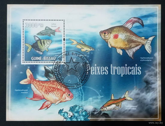 ФАУНА РЫБЫ МОРСКИЕ ОБИТАТЕЛИ    БЛОК  сто