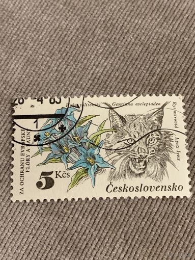 Чехословакия. Рысь