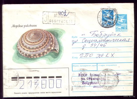 Морские раковины Бобруйск заказное