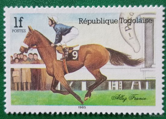 Того 1985. Конный спорт