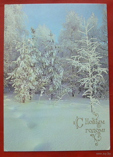 С новым годом! Чистая. 1990 года. Фото Буркина. #198.