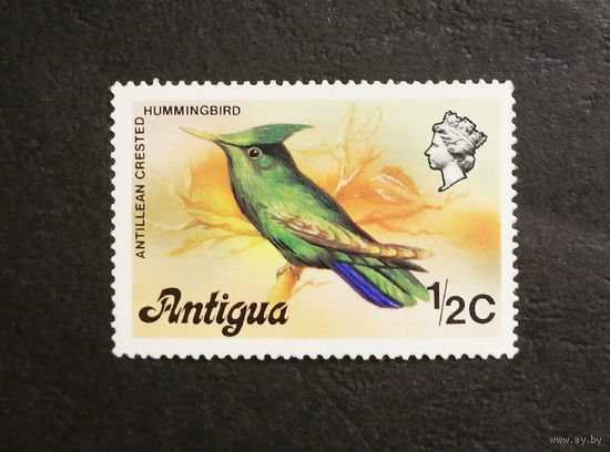 Антигуа 1976 г. Птицы. Фауна, 1 марка. Чистая #0240-Ф1P46