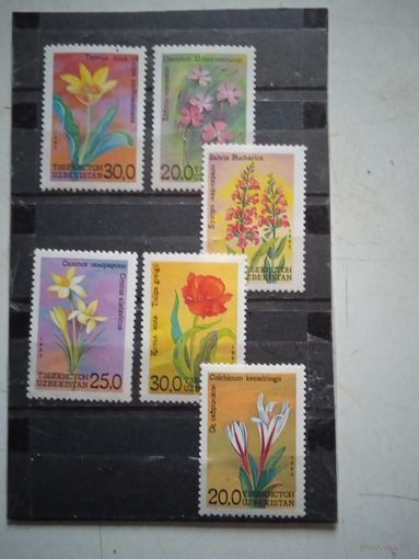 Флора узбекистан