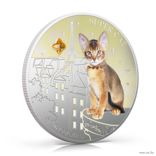 Фиджи 2 доллара 2013г. "Абиссинская кошка". Монета в капсуле; подарочном футляре; номерной сертификат; коробка. СЕРЕБРО 31,10гр.(1 oz).