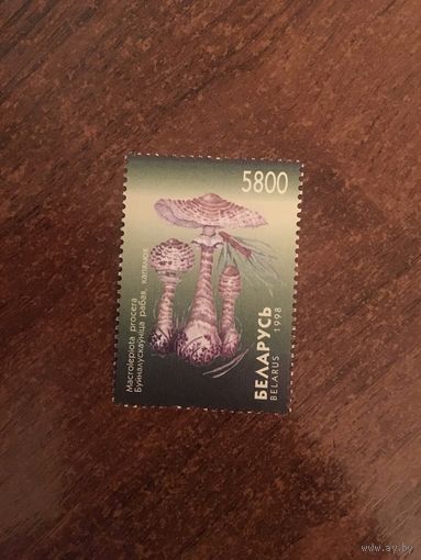 Беларусь 1998 Капялюх