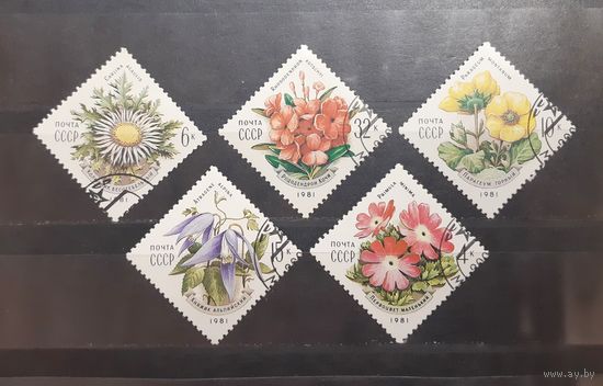 СССР. 1981 год. Флора. Цветы (248)