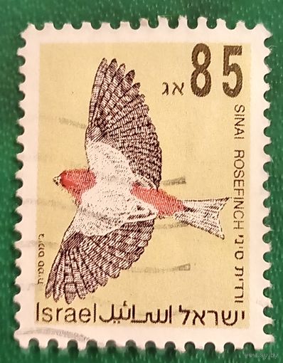 Израиль 1994. Синайский розовый зяблик