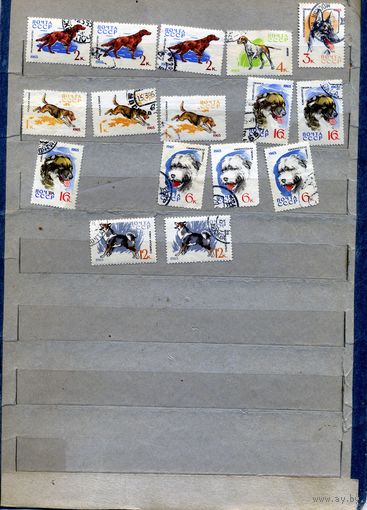 СССР, 1965, ОХОТНИЧЬИ СОБАКИ,   Сборка   16м по 25коп шт