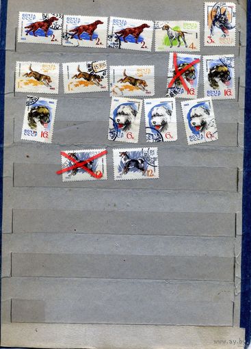 СССР, 1965, ОХОТНИЧЬИ СОБАКИ,   Сборка   16м по 25коп шт