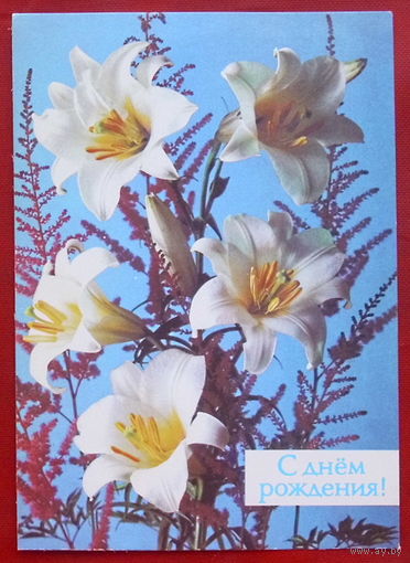 С днём рождения! Подписанная. 1988 года. Костенко. 734.
