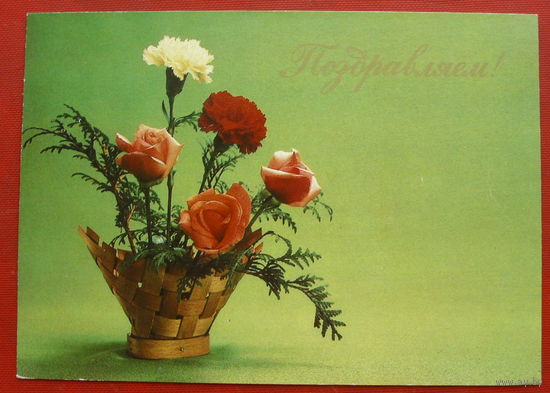 Поздравляем! Чистая. 1983 года. Фото Бабайлова. 1435.