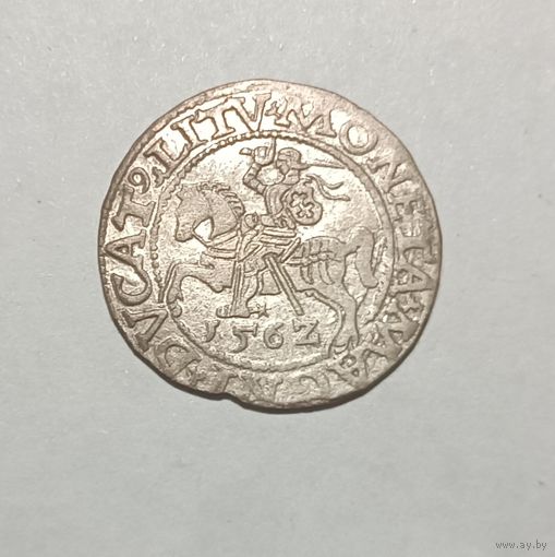 Паўгрошы Жыгiмонта II. 1562, Вильно. Красивый. Хвост вниз