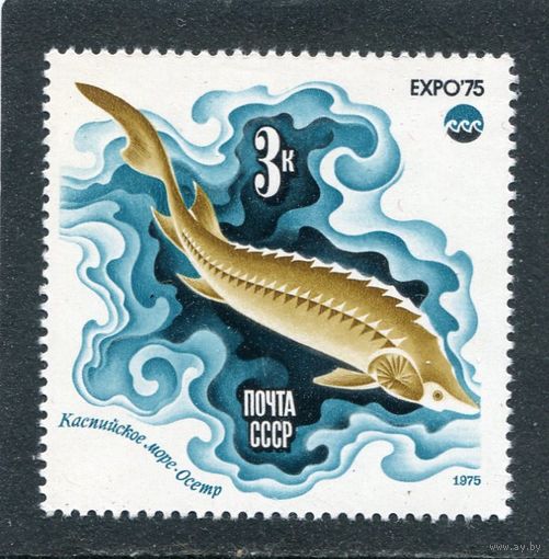 СССР 1975. Осетр