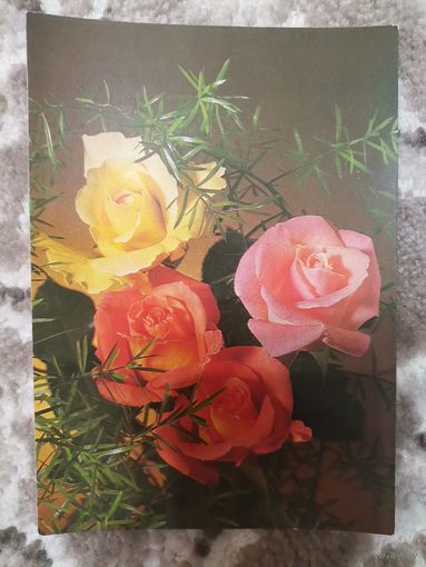 Открытка СССР чистая