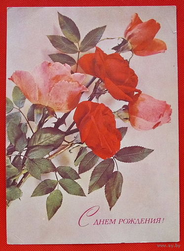 С Днём Рождения. Чистая. 1974 года. Дергилёва.