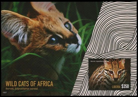 2014 Либерия 6604/B692 Кошки 10,00 евро