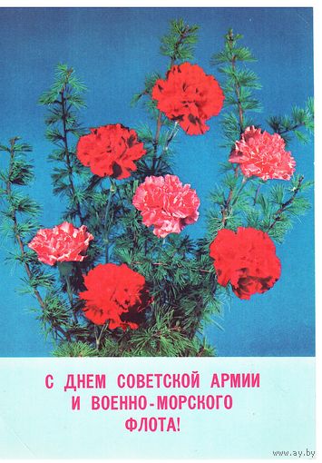 Почтовая карточка СССР 1980, подписана. Фото Б.Круцко