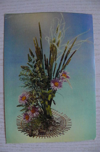 Гуков В., Ланина Е., Цветы, 1984, чистая.