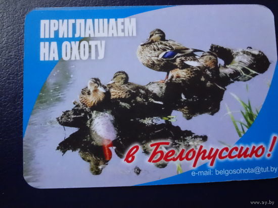 Календарик 2008 г.  Приглашаем на охоту в Белоруссию!