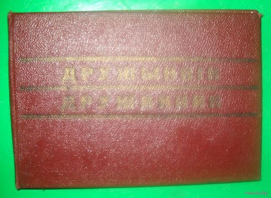 Дружинник
