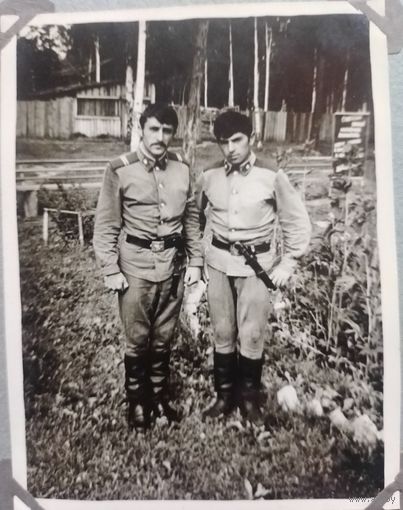 Фото в коллекцию