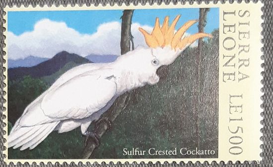 1994 Большой желтохохлый какаду Сьерра -Леоне