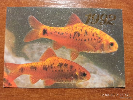 Календарик Золотой Гурами 1992 Папикьян