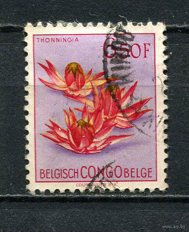 Бельгийское Конго - 1952/1953 - Цветы 6,50Fr - [Mi.310] - 1 марка. Гашеная.  (Лот 12Fo)-T25P18