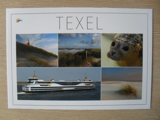 А-1. ОТКРЫТКА ПРОШЕДШАЯ ПОЧТУ. НИДЕРЛАНДЫ. TEXEL. ПЛЯЖ, МАЯК, МОРСКОЙ ЛАЙНЕР, ДЮНЫ, МОРСКОЙ ЗВЕРЕК.