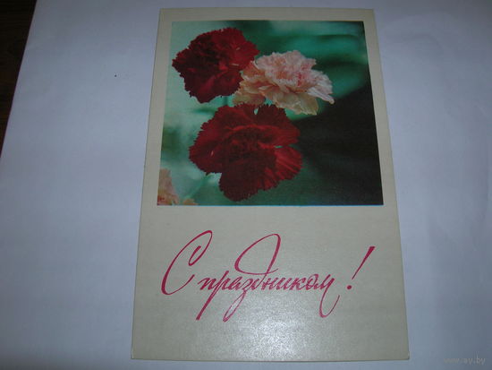 Цветы С праздником 1973 год чистая