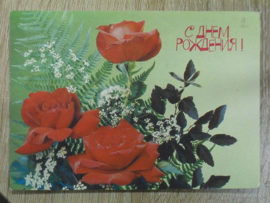ЧИСТАЯ ПОЧТОВАЯ ОТКРЫТКА СССР."С ДНЕМ РОЖДЕНИЯ". ФОТО И. ДЕРГИЛЕВА. 1990 год