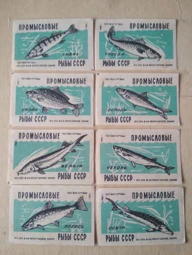 Спичечные этикетки ф.Пролетарское знамя.Промысловые рыбы СССР.ГОСТ 1820-56.1959 год