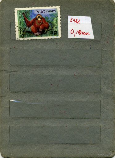 ВЬЕТНАМ, 1981   ОБЕЗЬЯНЫ,   1м