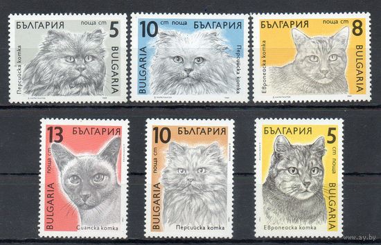 Кошки Болгария 1989 год серия из 6 марок