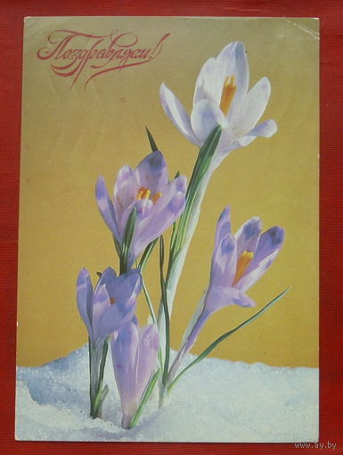 Поздравляю! Подписанная. 1980 года. Якименко. 1038.