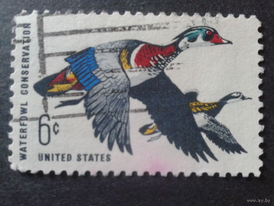 США 1968 утки