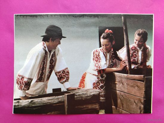 Бужакские девушки с парнем. Будапешт. Чистая. 2678.