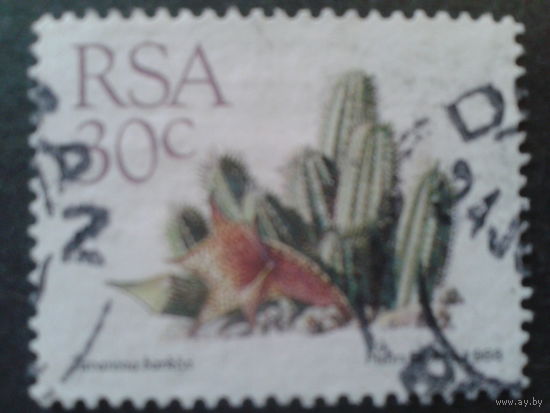 ЮАР 1988 стандарт, камнеломка