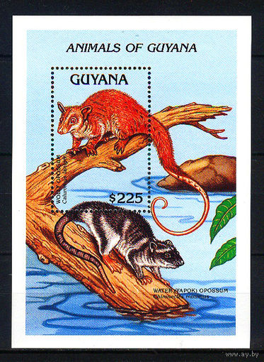1992 Гайана. Опоссумы